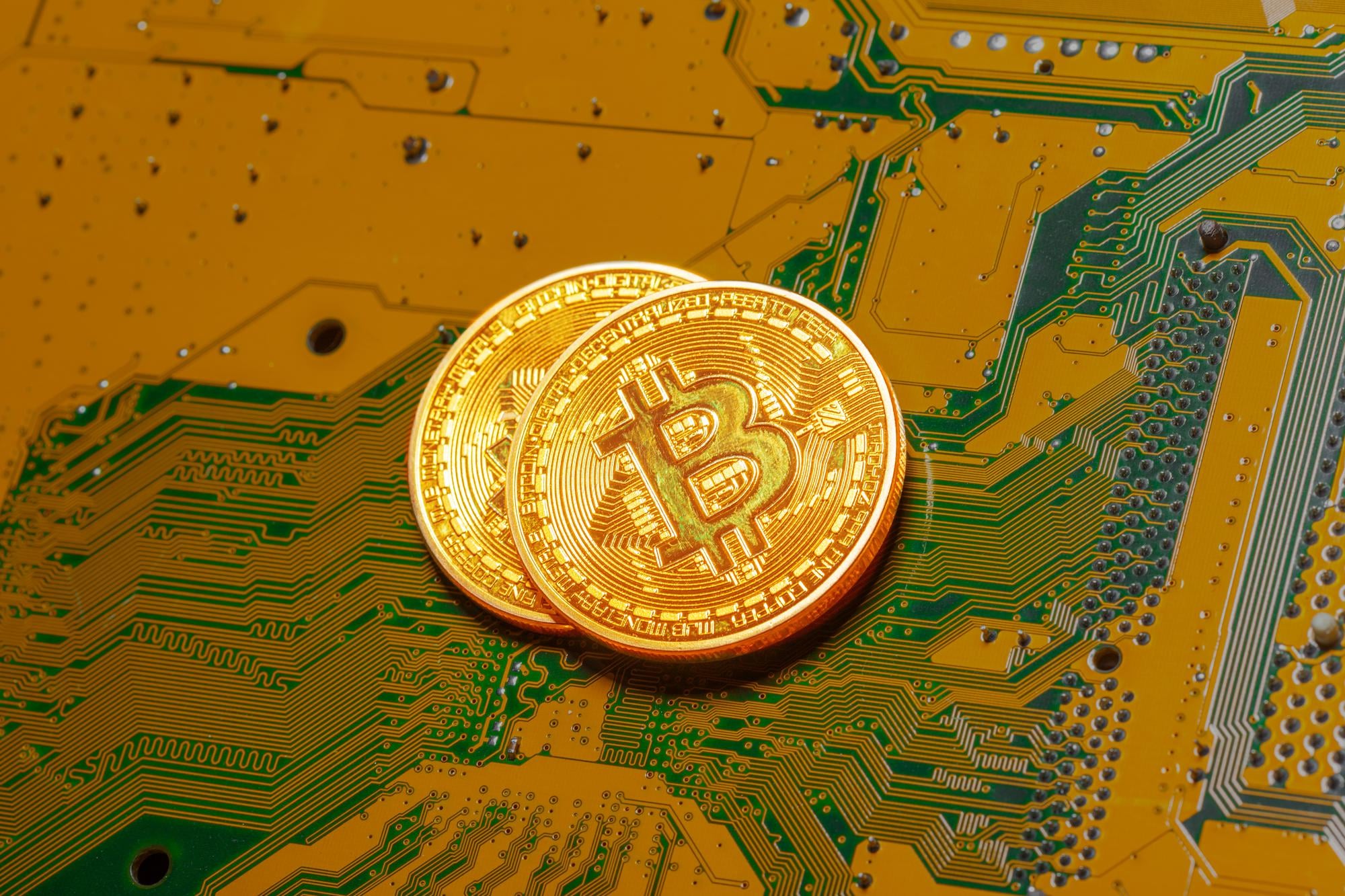 Cryptomunten: Beleggen als starter